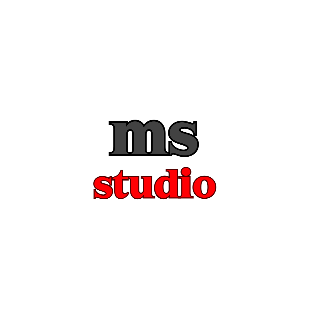 MS STUDIO logo