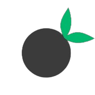 Berries logo
