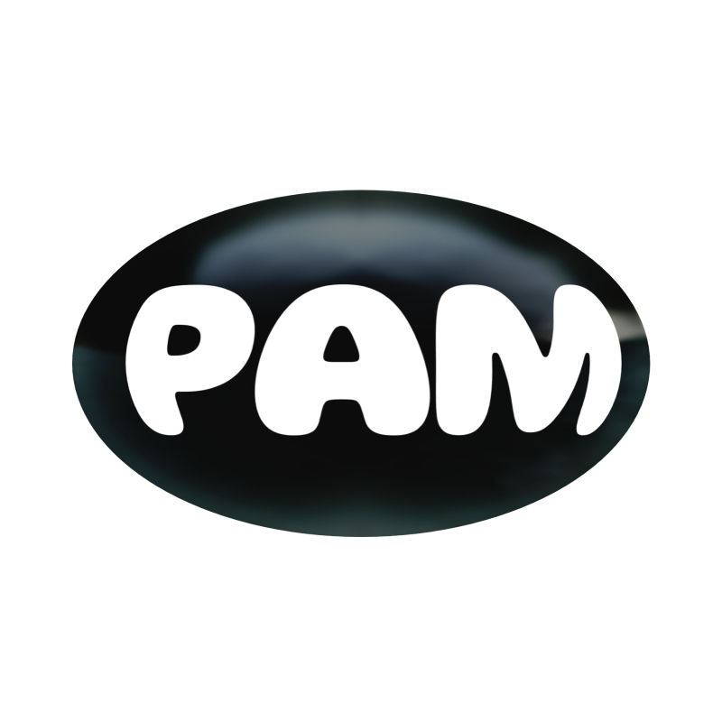 PamPam logo