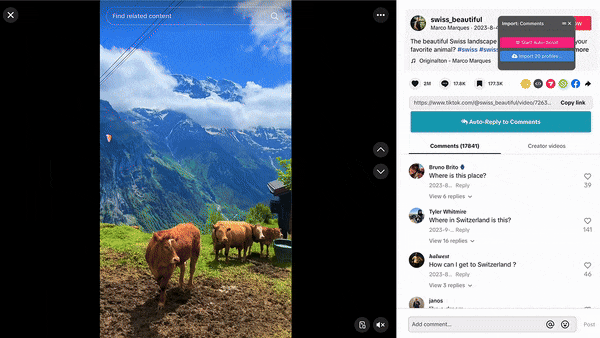 168-TikTok-Auto-Reply